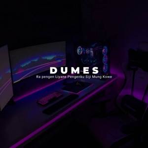 DJ RAPENGEN LIYANE PENGENKU SIJI MUNG KOWE (DUMES V2)