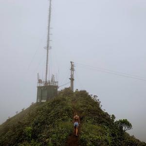 (Bach) on My Bullshit (feat. Spnxr Bach)