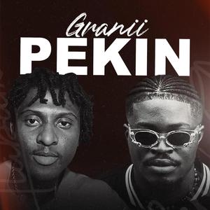 Granii pekin (feat. D4nny)