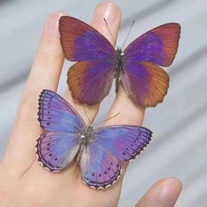 鲜花试用装