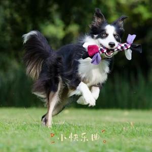 快乐心跳