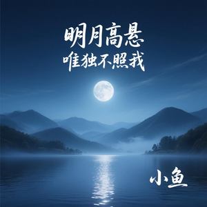 明月高悬唯独不照我
