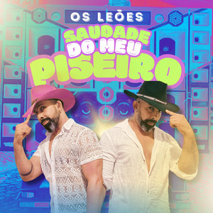 Saudade do meu Piseiro