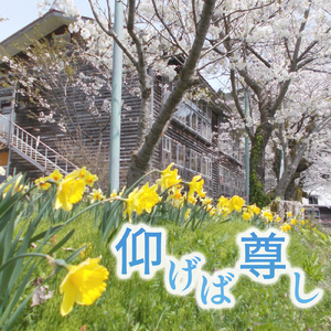 仰げば尊し (Cover)