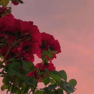 【FREE】“go away”Vol soul type beat、