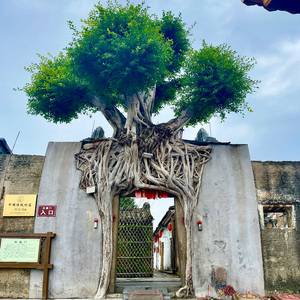 秋狂 . 壹 ( Ambient ).wav