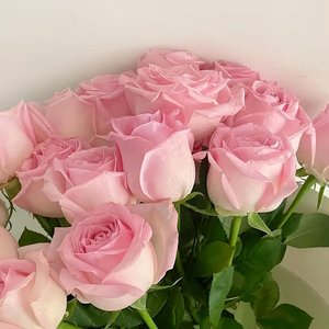 一行白鹭上青天