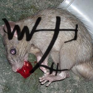 mousetr4p Pt. 2 #FREE2SHANEZ #KILLAHRATBASTARD