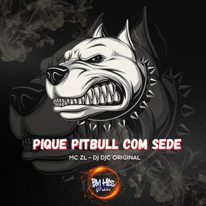 Pique Pitbull Com Sede