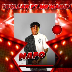 Wafo (feat. Mr Mario)
