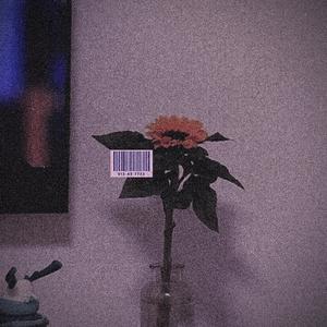 “我说的都是真的”