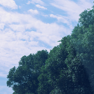 宝宝睡眠摇篮曲 (治愈纯音乐)