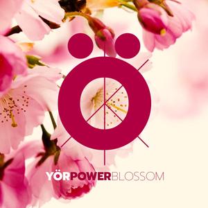 POWER BLOSSOM