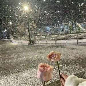 谁的生活不是一塌糊涂