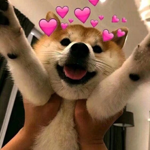 给你宇宙（翻自 封茗囧菌）