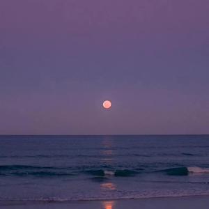 沦陷（cover：旺仔小乔）