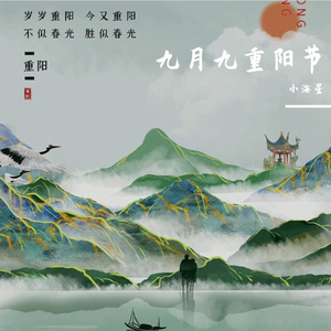 九月九重阳节（陈少华 remix）