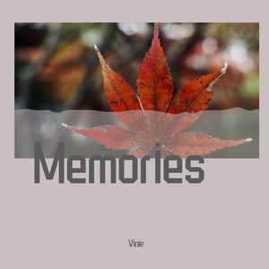 有一种悲伤——Vinnie 24bit