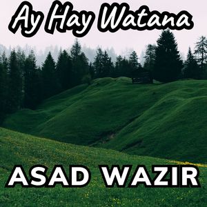 Ay Hay Watana