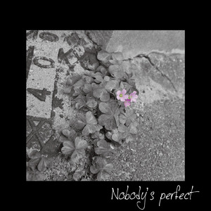 Nobody's perfect
