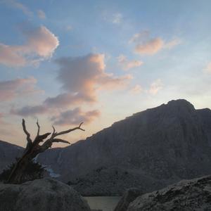 Daytime Sentimentalism