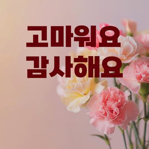 고마워요 감사해요
