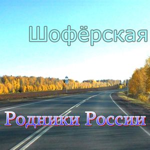 Шофёрская