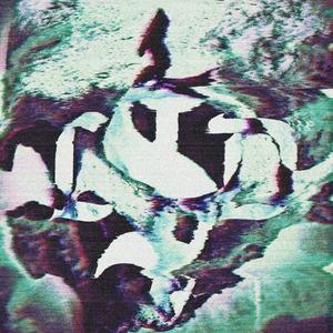 5-HT2a (instrumental)