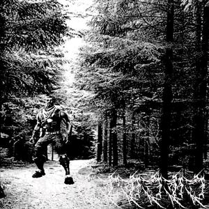 SEI MERDA (feat. Zeb89)