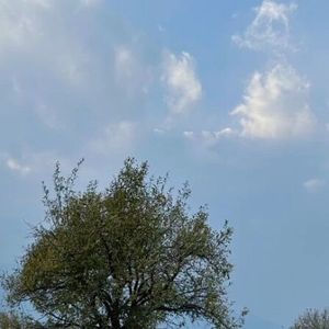 秋水寒