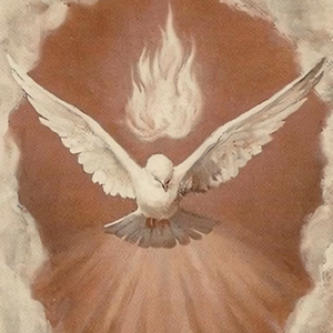 White Wings Over the City