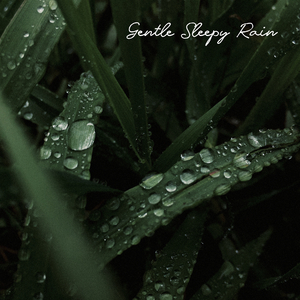 Gentle Sleepy Rain