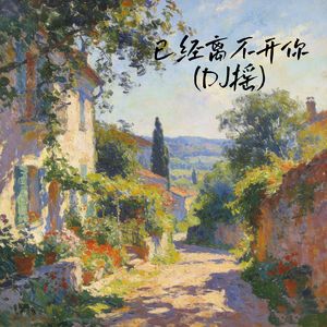 已经离不开你(DJ摇)