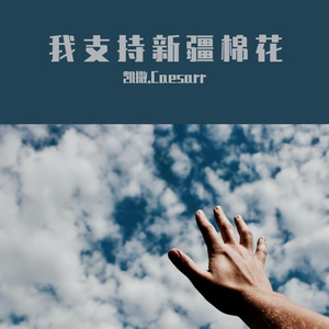 我支持新疆棉花