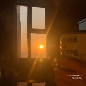 尚好的青春（翻自 孙燕姿）