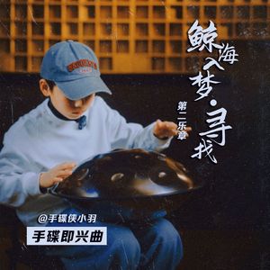 鲸海入梦·寻找（手碟曲）