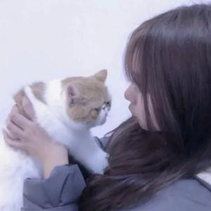 没有如果的如果（翻自 小蜜）