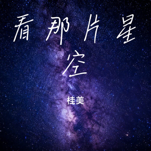 看那片星空