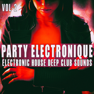 The Shelter (Root Mix)