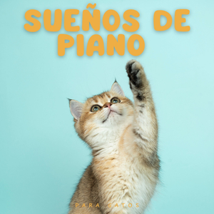 Piano Lento Para Leer
