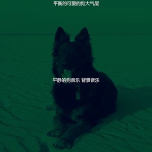 安静的小狗声音
