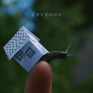 小小的爱不会走散