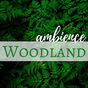 Woodland Ambience