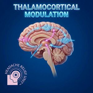 Thalamic Gate