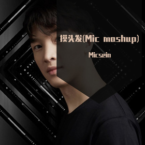 摸头发Touch my head VS.Big Dipler(Mic mashup)