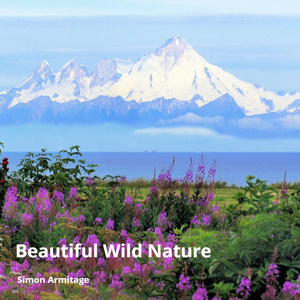 Beautiful Wild Nature