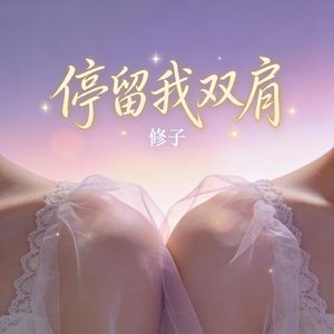 停留我双肩 伴奏