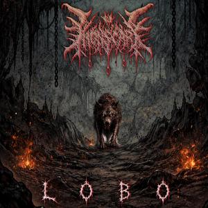 LOBO