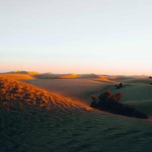 你成为了谁的幸福