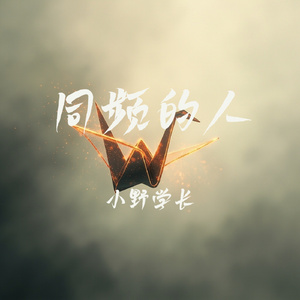 同频的人